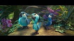 Image Rio 2