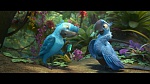 Image Rio 2