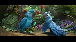 Image Rio 2