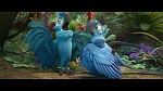 Rio 2 picture