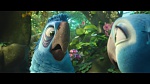 Image Rio 2