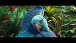 Image Rio 2