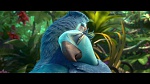 Image Rio 2
