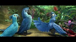 Image Rio 2