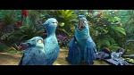Rio 2 picture