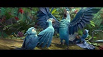 Image Rio 2