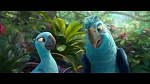 Image Rio 2