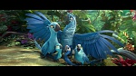 Image Rio 2