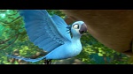 Rio 2 picture