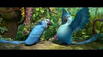 Image Rio 2