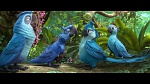 Image Rio 2