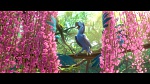 Image Rio 2