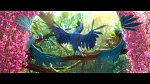 Image Rio 2
