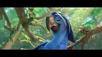 Image Rio 2