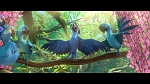Image Rio 2