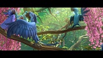 Image Rio 2