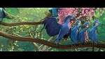 Image Rio 2