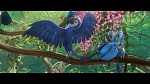 Rio 2 picture