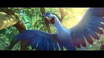 Image Rio 2