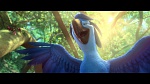 Rio 2 picture
