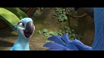 Image Rio 2