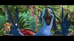Image Rio 2