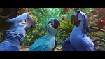 Image Rio 2