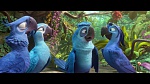 Image Rio 2