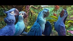 Image Rio 2