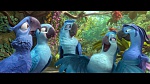 Rio 2 picture