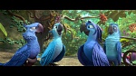 Rio 2 picture