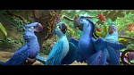 Rio 2 picture
