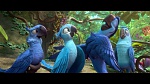 Image Rio 2