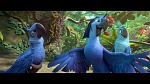 Rio 2 picture