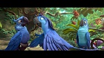 Image Rio 2