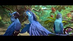 Image Rio 2