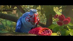 Image Rio 2