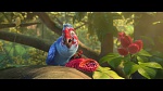 Image Rio 2