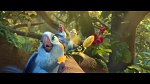 Image Rio 2