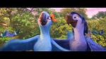 Image Rio 2