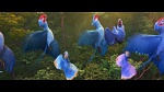 Image Rio 2