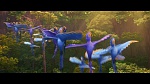 Image Rio 2