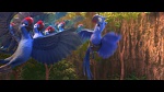Rio 2 picture