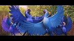 Image Rio 2