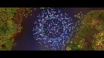 Image Rio 2