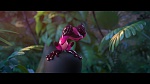 Image Rio 2