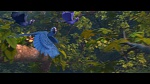 Image Rio 2