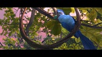 Image Rio 2