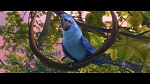 Rio 2 picture