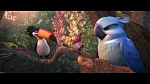 Rio 2 picture